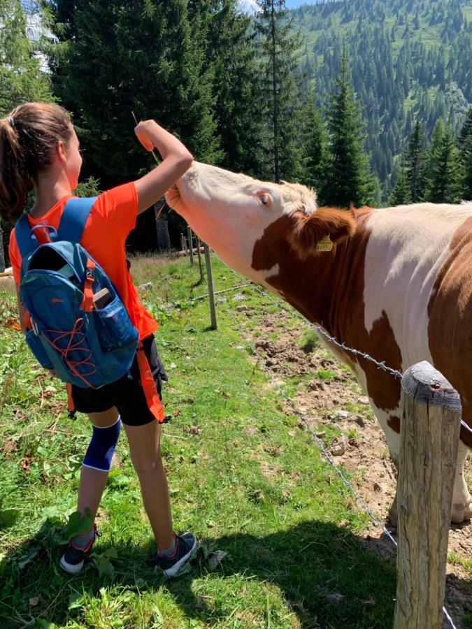 Hotel Alpina Kleinarl Kültér fotó