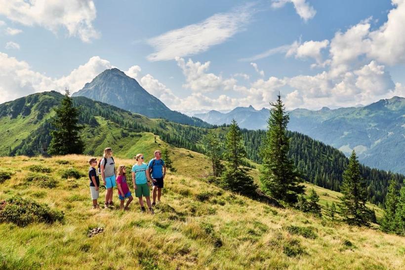 Hotel Alpina Kleinarl Kültér fotó
