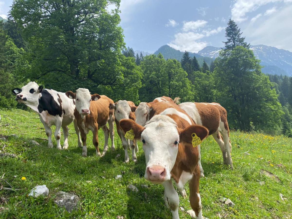 Hotel Alpina Kleinarl Kültér fotó