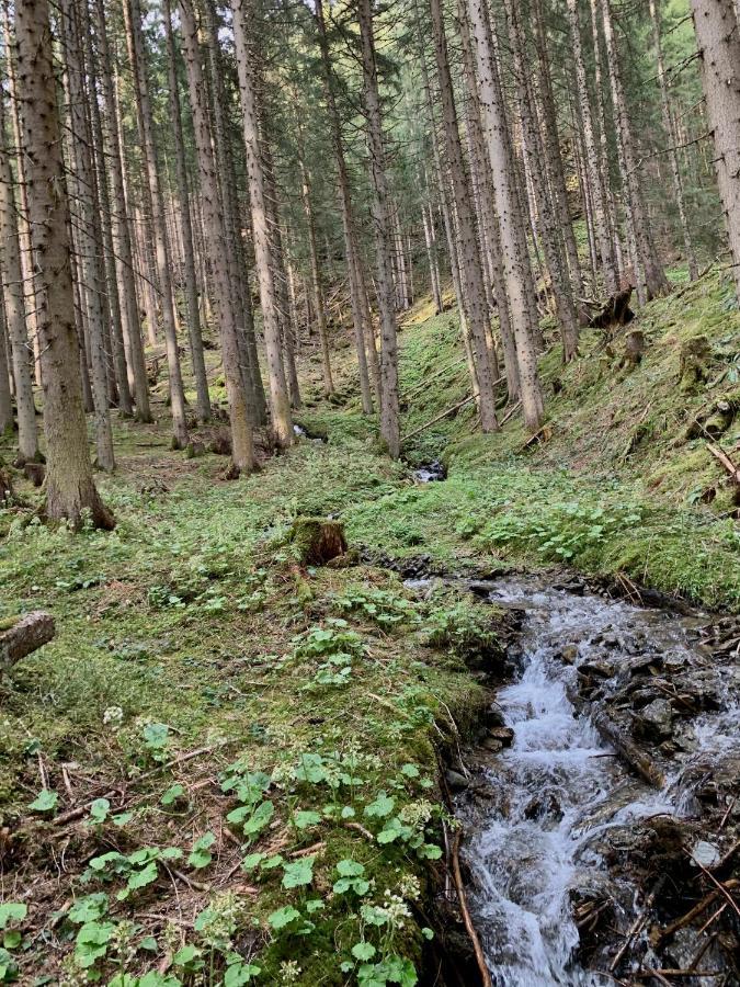 Hotel Alpina Kleinarl Kültér fotó