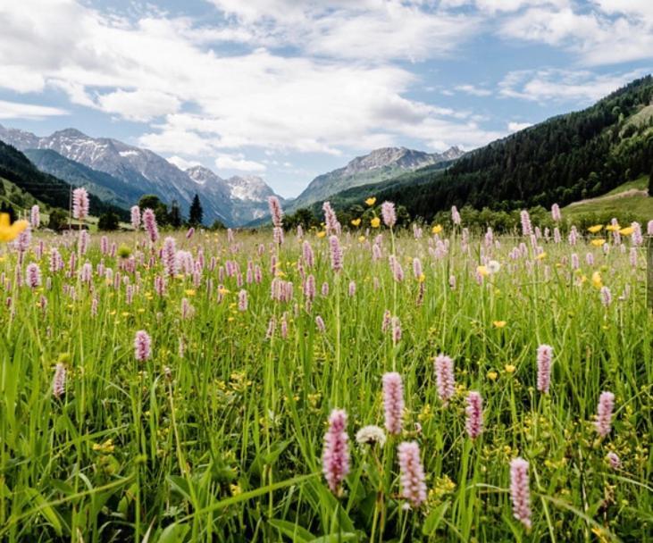 Hotel Alpina Kleinarl Kültér fotó