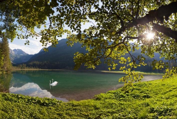 Hotel Alpina Kleinarl Kültér fotó