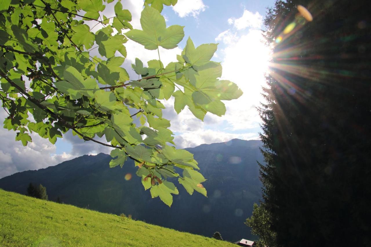 Hotel Alpina Kleinarl Kültér fotó